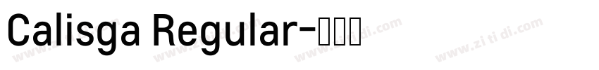 Calisga Regular字体转换